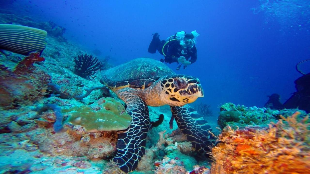 Hotel Club Kaafu Maldives Dhiffushi Zewnętrze zdjęcie